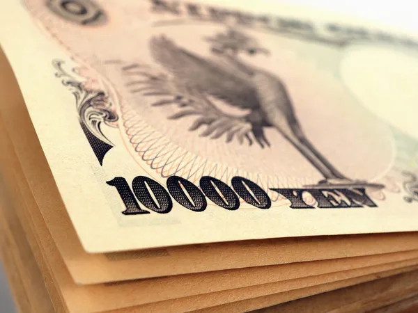 Bir deste Japon 10,000 yen 'lik banknot. Banknotlar ve betimlenmiş Phoenix kuşu. Şekle odaklan. Para, banka, finans ve Japonya ekonomisi temalı bir resim. Makro