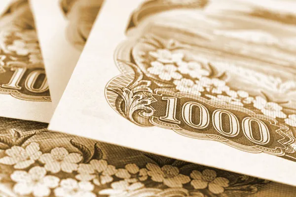 日本の1 000円札の端の破片 日本経済についての背景や壁紙を着色ブラウン マクロ — ストック写真