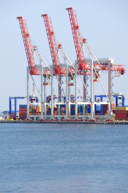 bağlantı noktası Vinçler