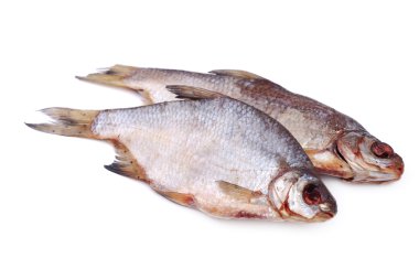 iki deniz roach beyaz üzerine kurutulmuş