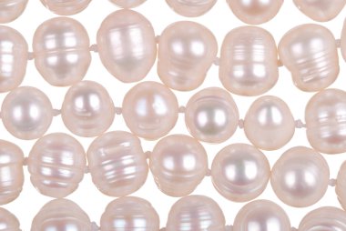 arka plan beyaz inci kolye