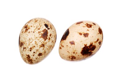 Bıldırcın yumurta fotoğrafı