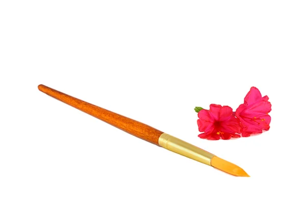 Paintbrush and flowers — Stock Photo, Image