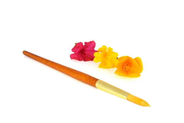 Paintbrush and flowers — Stock Photo, Image