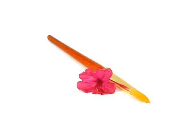 Paintbrush and flowers — Stock fotografie