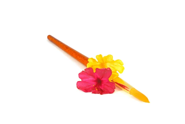 Paintbrush and flowers — Stock fotografie