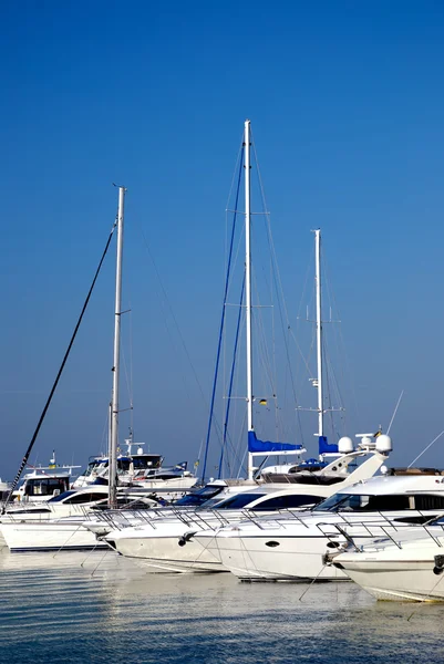 Witte jachten op een anker — Stockfoto