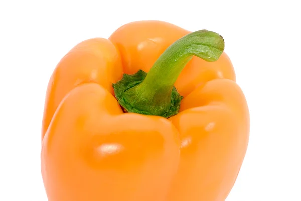 One orange pepper — Stock Photo, Image