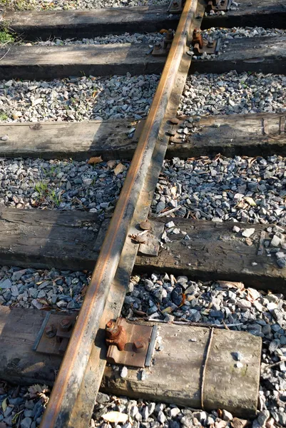 Obsolete historic railway in forest — Stock Photo, Image