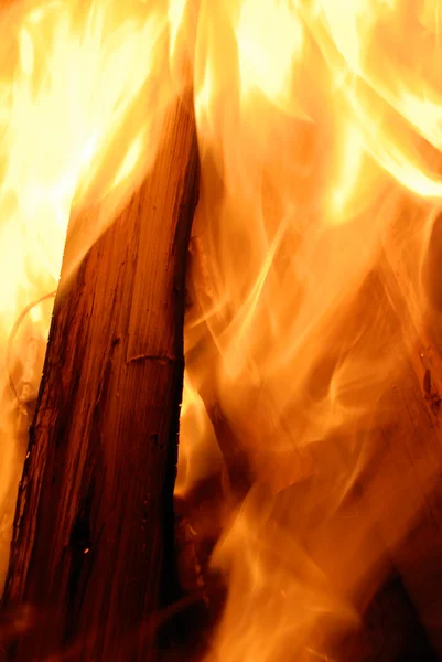 The wood burns on fire — Stock Photo, Image