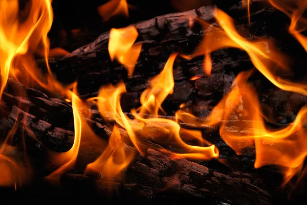 The wood burns on fire — Stock Photo, Image