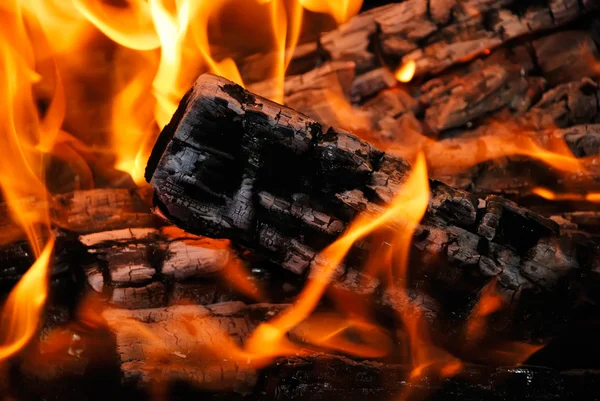 Closeup of the burning fire woods — Stock Photo, Image