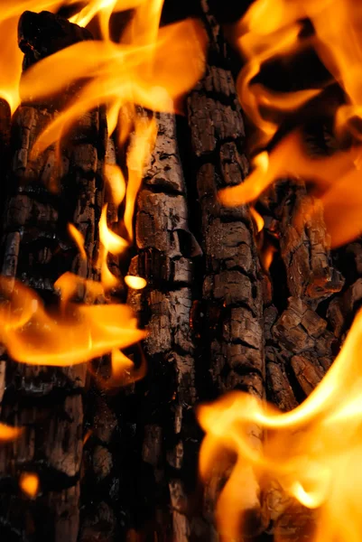 Égő tűz fa, fekete — Stock Fotó