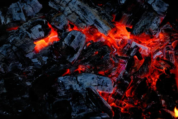 The wood coal burns on fire — Stock Photo, Image
