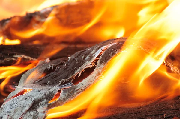 Wood burning in the fire — Stock Photo, Image