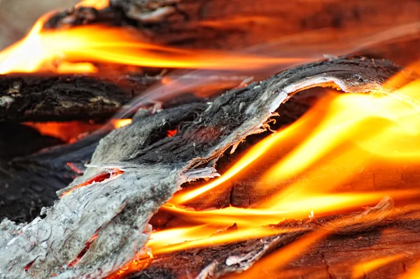 Wood burning in the fire — Stock Photo, Image