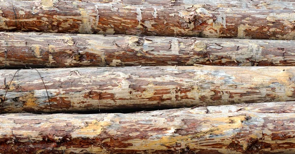 Logs as background — Stock Photo, Image