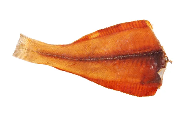 Stockfish izolovaných na bílém pozadí — Stock fotografie