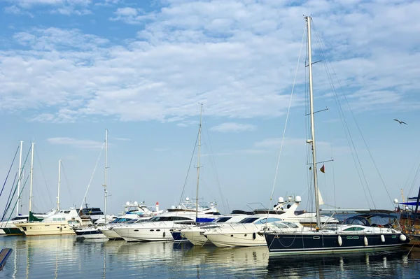 Witte jachten op een anker — Stockfoto