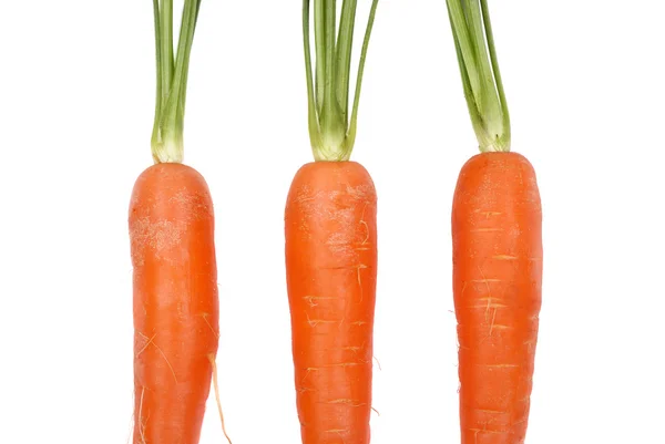 Three carrots on a white background — Stock Photo, Image