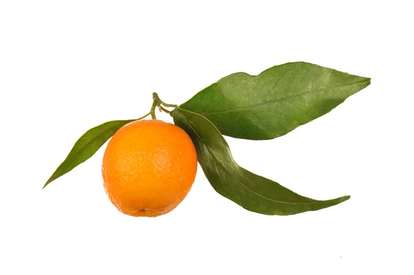 Eine Orange mit Blatt — Stockfoto