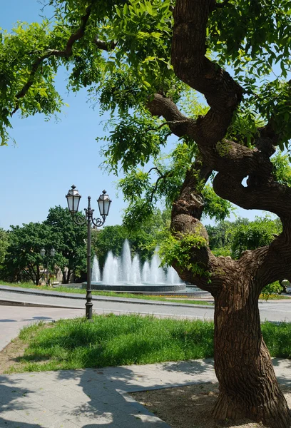 Městský park s fontánou — Stock fotografie