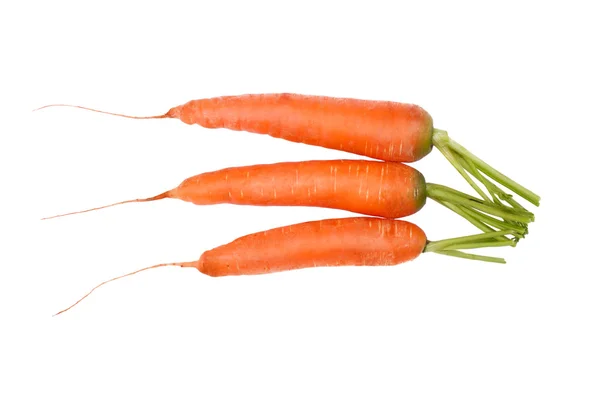 Tres zanahorias aisladas sobre un fondo blanco — Foto de Stock