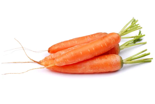 Морковь на белом — стоковое фото