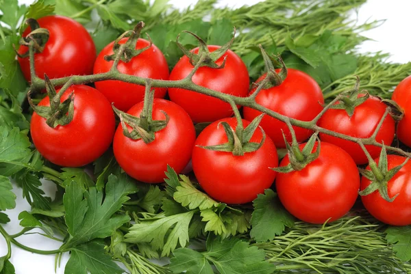 Bunch of tomatoes on a green parsley — Stock Photo, Image