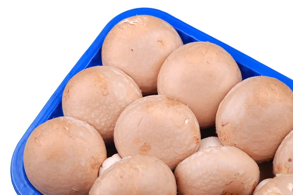 Fresh field mushrooms in a basket — Stock Photo, Image