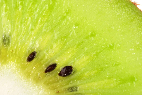 Tranche kiwi isolée sur blanc — Photo