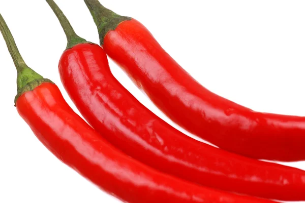 Červená horká chilli paprika na bílém — Stock fotografie