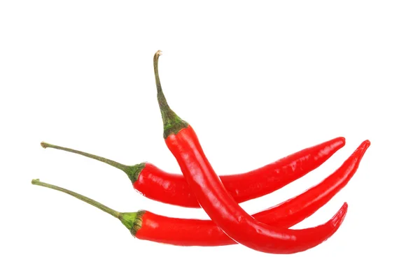 Pimienta roja picante sobre blanco —  Fotos de Stock