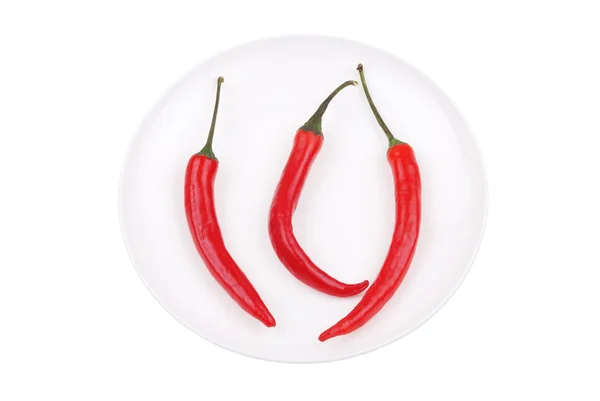 Red hot chili pepper on white dish — Stock Photo, Image