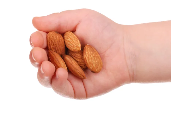 The children's hand holds almonds — Stock Photo, Image