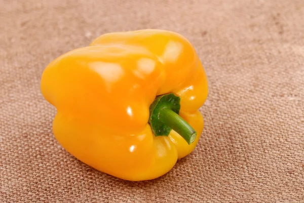 One yellow pepper — Stock Photo, Image