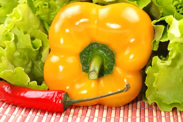 Composition from vegetables — Stock Photo, Image