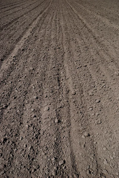 Background from the ploughed field — Stock Photo, Image