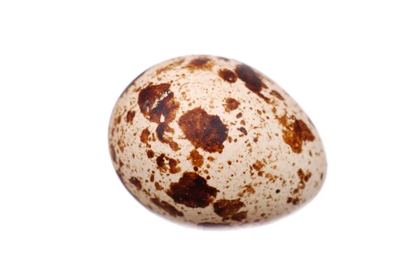 Foto do ovo de codorna — Fotografia de Stock