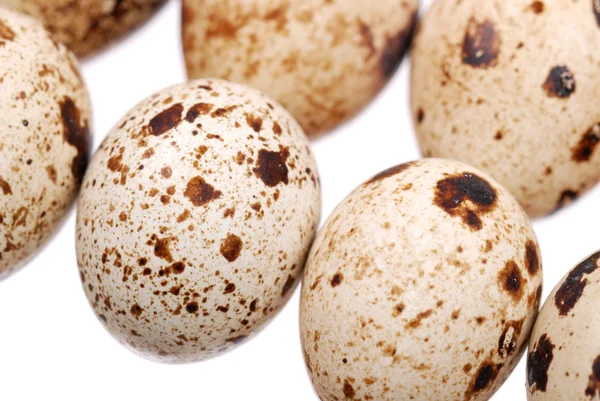 Photo of the quail egg — Stock Photo, Image