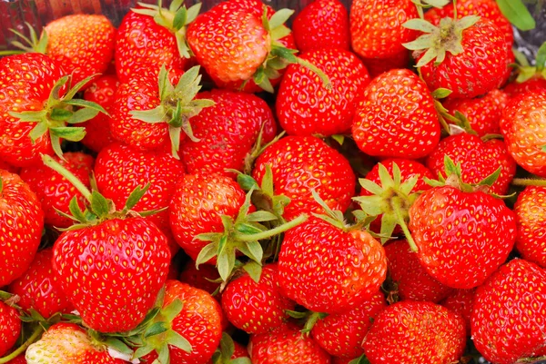 Background from strawberry — Stock Photo, Image