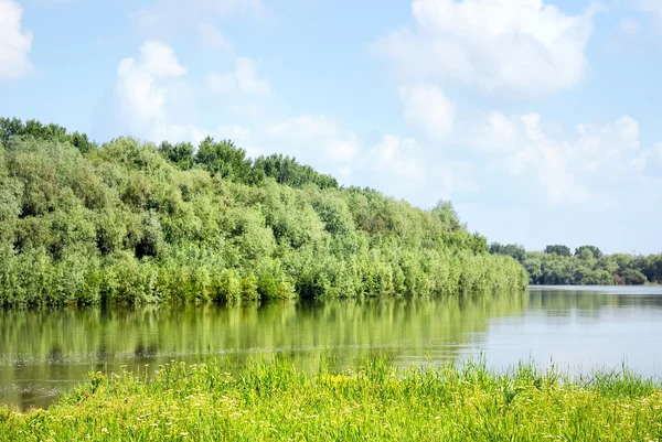 Літній пейзаж з лісом і річкою — стокове фото