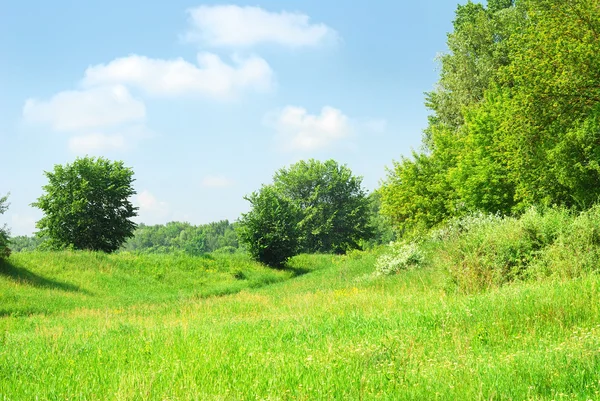 Paesaggio estivo con luce intensa — Foto Stock