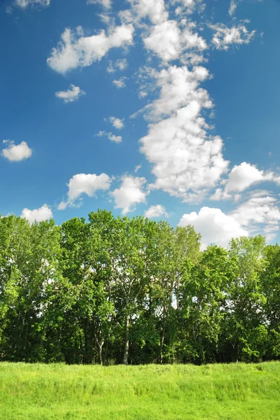 Zomer landschap op blauwe hemelachtergrond — Stockfoto