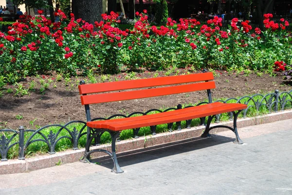 Sommardag i stadsparken — Stockfoto