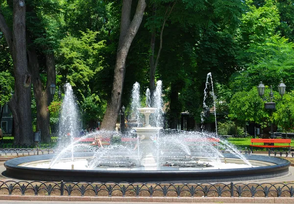 Giornata estiva nel parco cittadino — Foto Stock