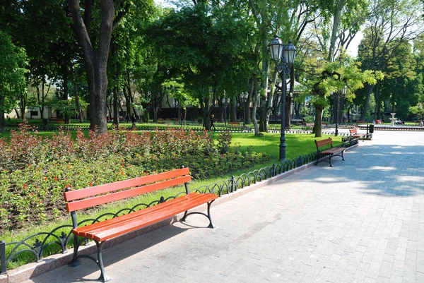 Summer day in city park — Stock Photo, Image