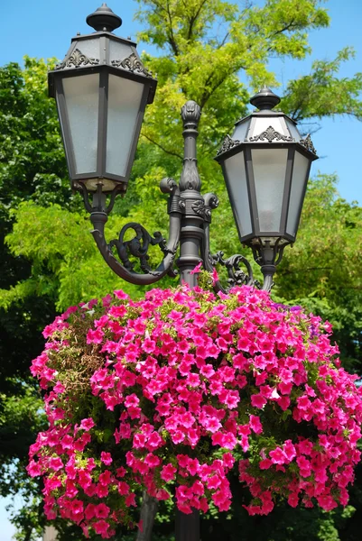 Farol de calle decorativo con flores — Foto de Stock