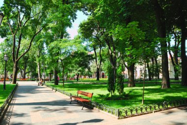 yaz günü Şehir Parkı