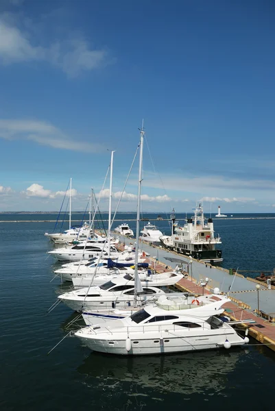 Witte jachten op een anker — Stockfoto